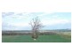Lots/1 & 2 off Langrehr Road, Finniss SA 5255