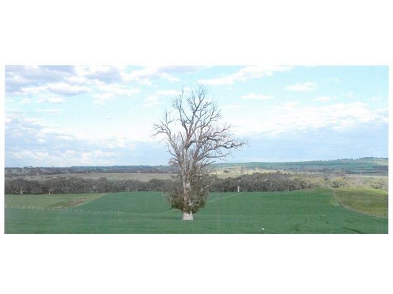 Lots/1 & 2 off Langrehr Road, Finniss SA 5255