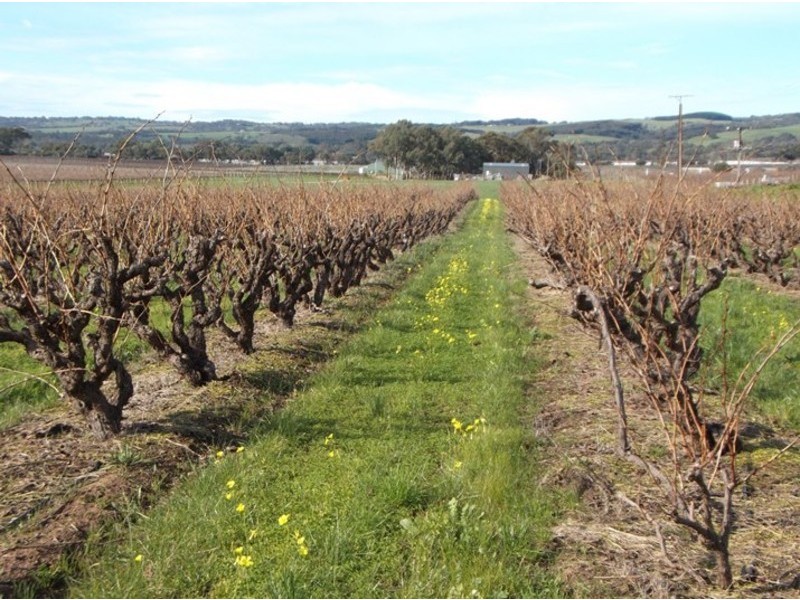 Lot 108 Main Road, Willunga SA 5172