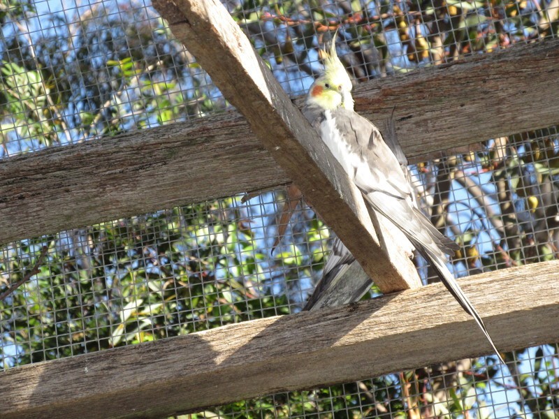 2/73 Main Road, Mclaren Vale SA 5171