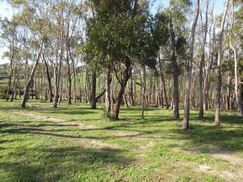 148 Ancell Road, Mount Jagged SA 5211