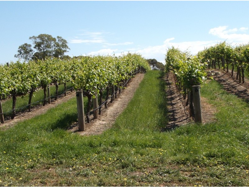 57 Glory Road, Kangarilla SA 5157