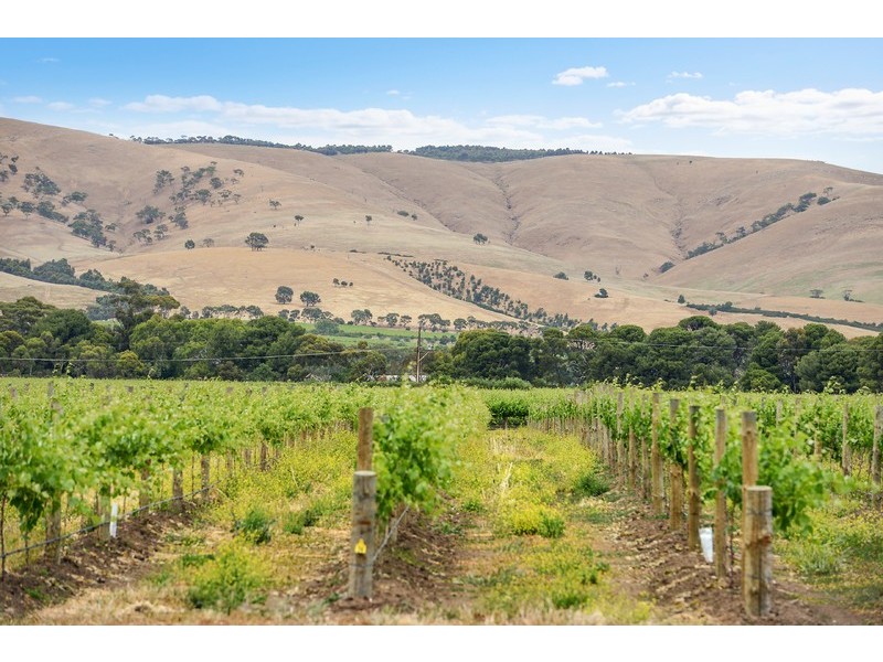 363 Aldinga Road, Whites Valley SA 5172