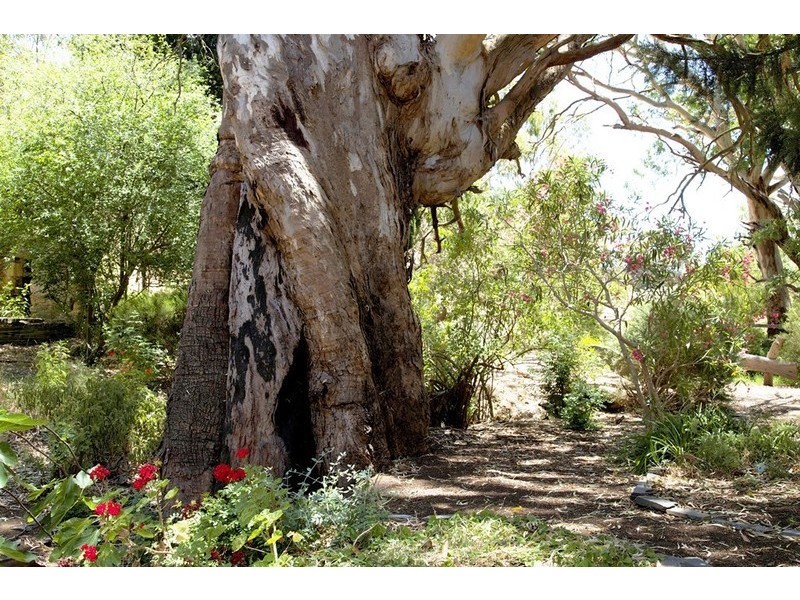 19 Quarry Road, Willunga South SA 5172