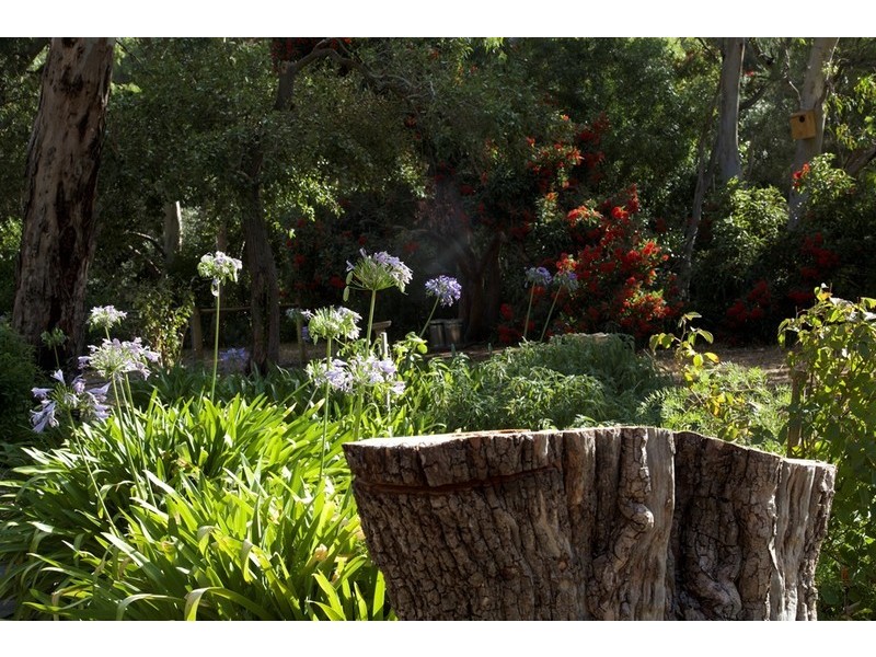 19 Quarry Road, Willunga South SA 5172