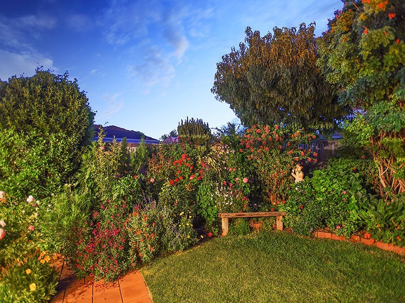 17 Cedar Avenue, Seaford SA 5169