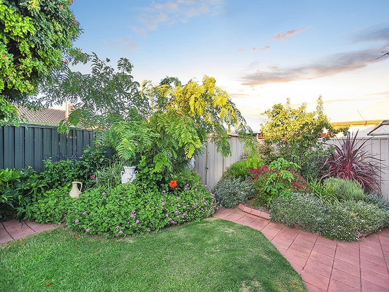 17 Cedar Avenue, Seaford SA 5169