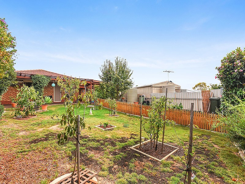 29 Hewitt Drive, Mclaren Vale SA 5171