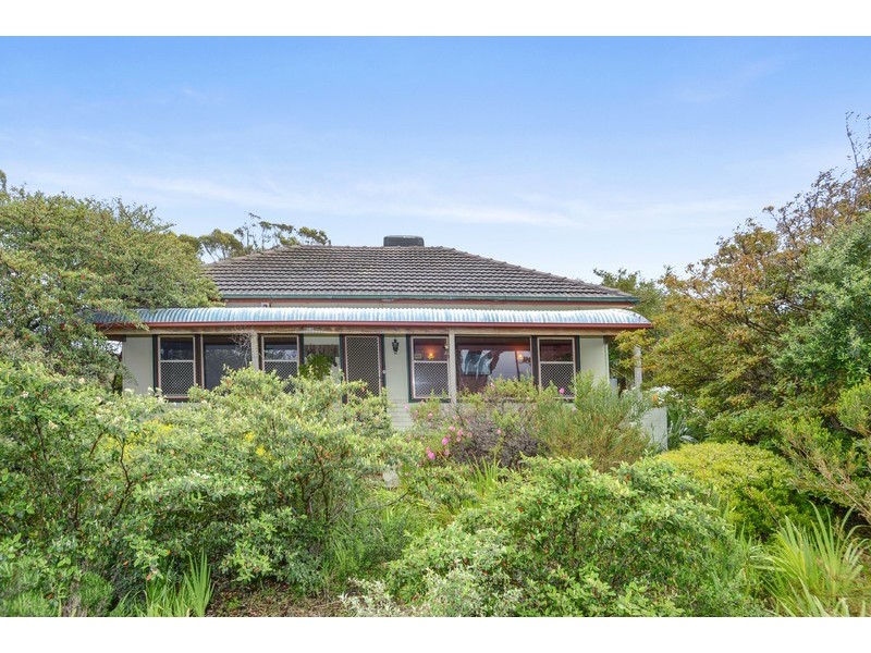 17 Penzance Avenue, Christies Beach SA 5165