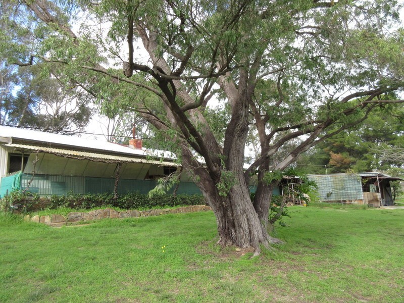 57 Douglas Gully Road, Mclaren Flat SA 5171