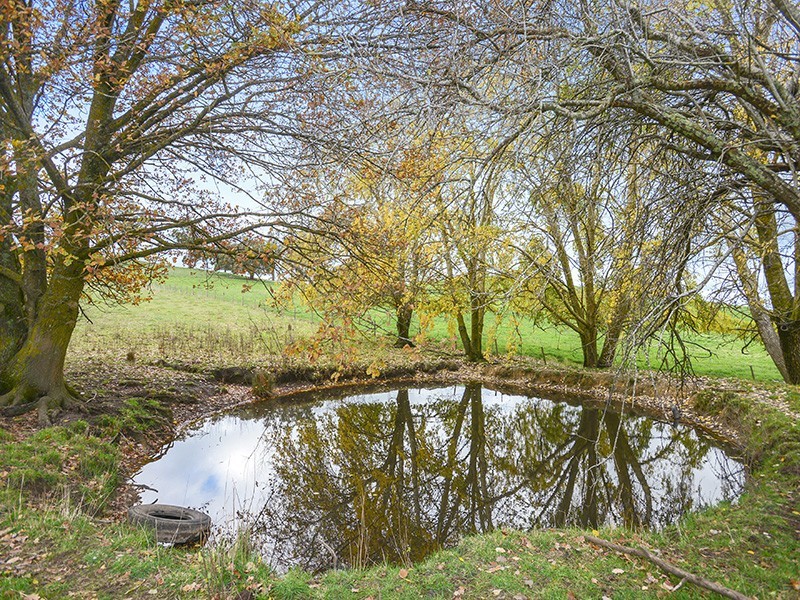 21 Tabor Lane, Lobethal SA 5241