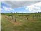 407 Blewitt Springs Road, Blewitt Springs SA 5171