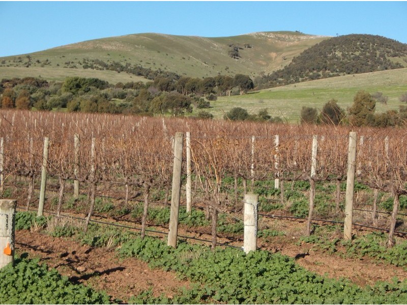 151 Culley Road, Sellicks Hill SA 5174