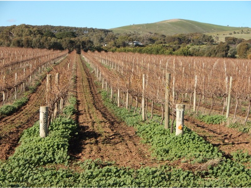 151 Culley Road, Sellicks Hill SA 5174