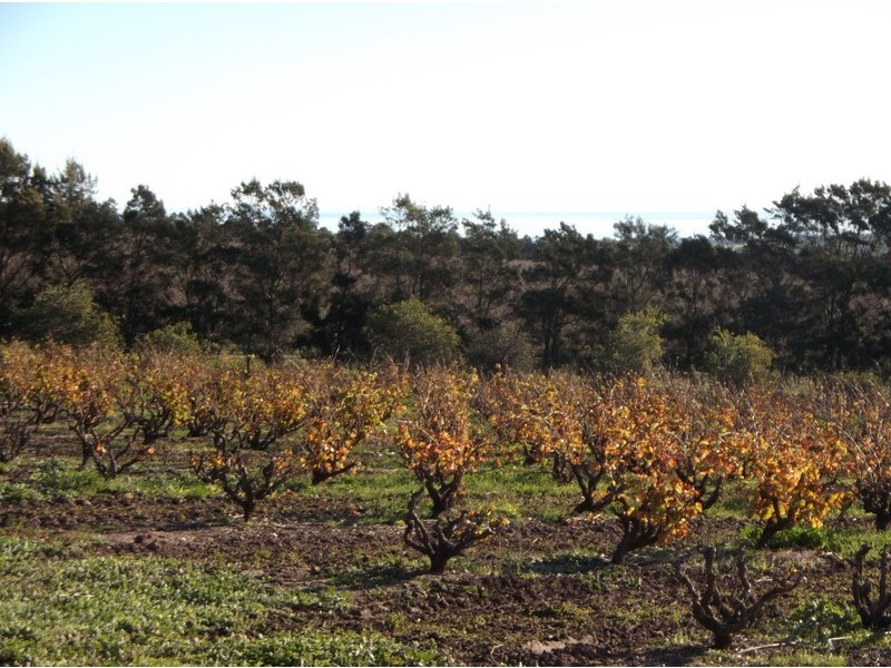 151 Culley Road, Sellicks Hill SA 5174