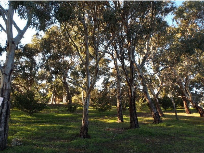 151 Culley Road, Sellicks Hill SA 5174