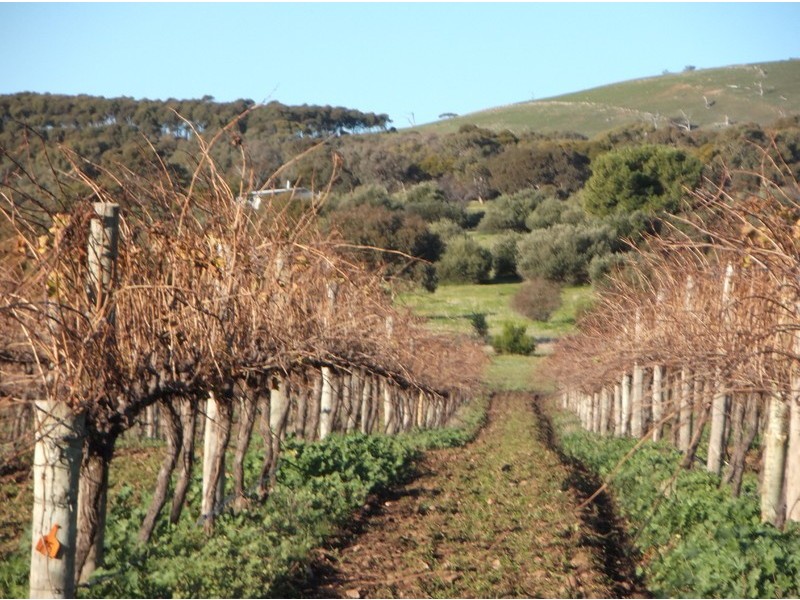 151 Culley Road, Sellicks Hill SA 5174