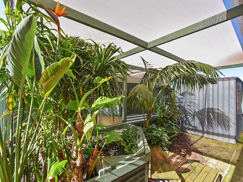 41 Jade Loop, Aldinga Beach SA 5173