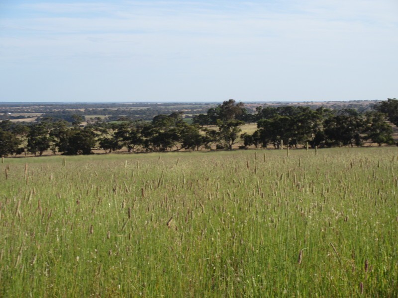 Signal Flat Road, Finniss SA 5255