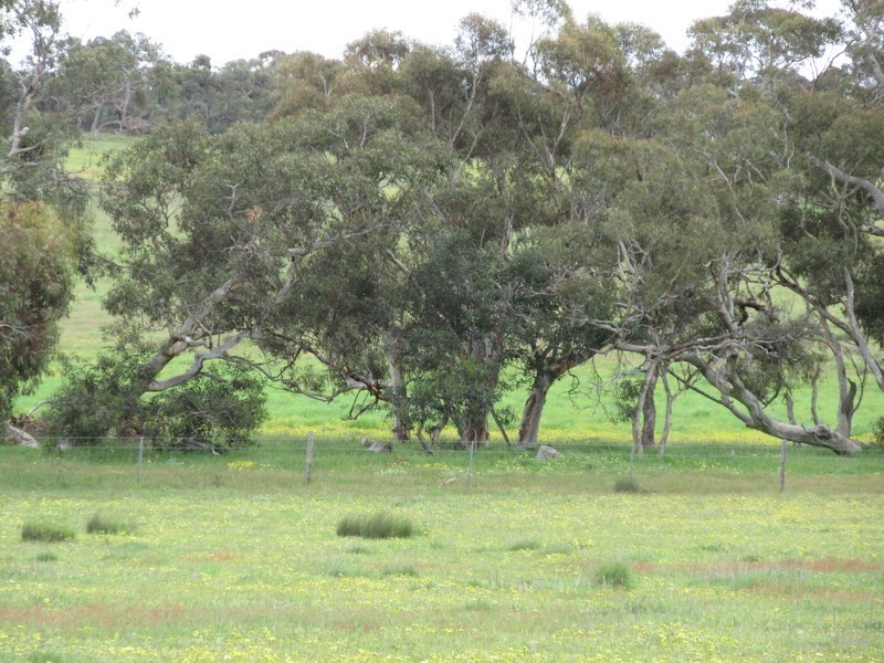 Signal Flat Road, Finniss SA 5255