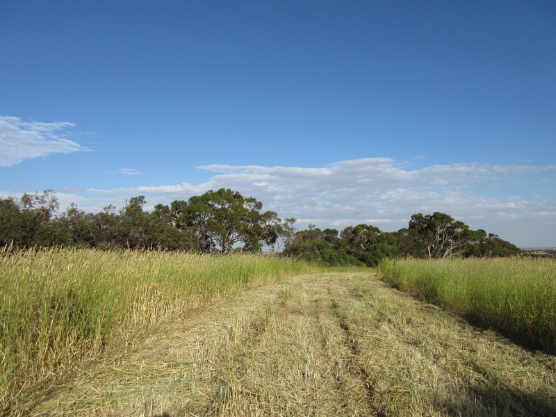 Signal Flat Road, Finniss SA 5255