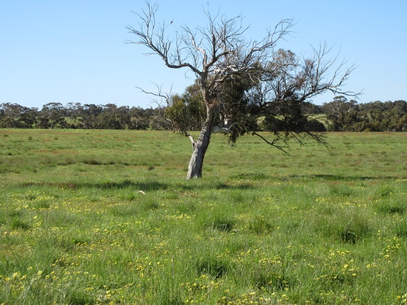 Signal Flat Road, Finniss SA 5255