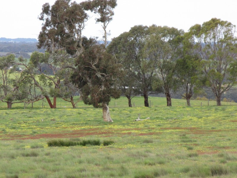 Signal Flat Road, Finniss SA 5255