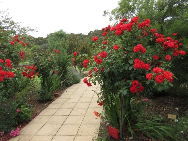 13 Stock Road, Lower Inman Valley SA 5211