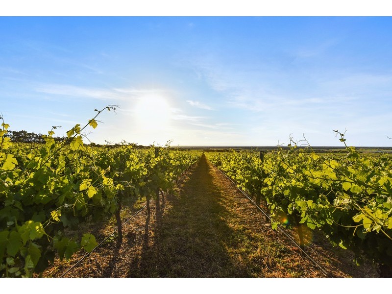 94 Culley Road, Sellicks Hill SA 5174