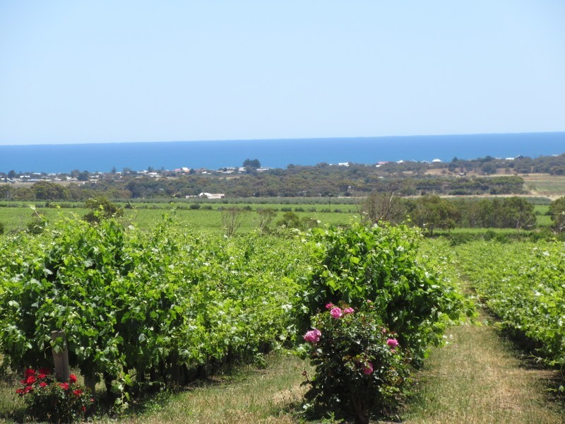 94 Culley Road, Sellicks Hill SA 5174