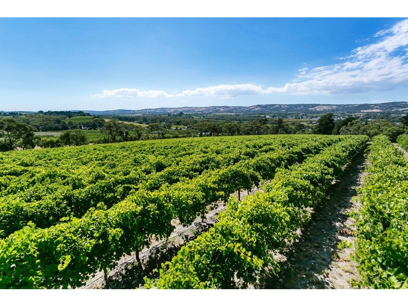 7 Settlement Road, Mclaren Flat SA 5171