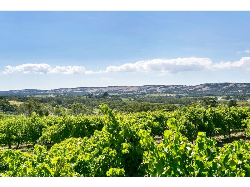 7 Settlement Road, Mclaren Flat SA 5171