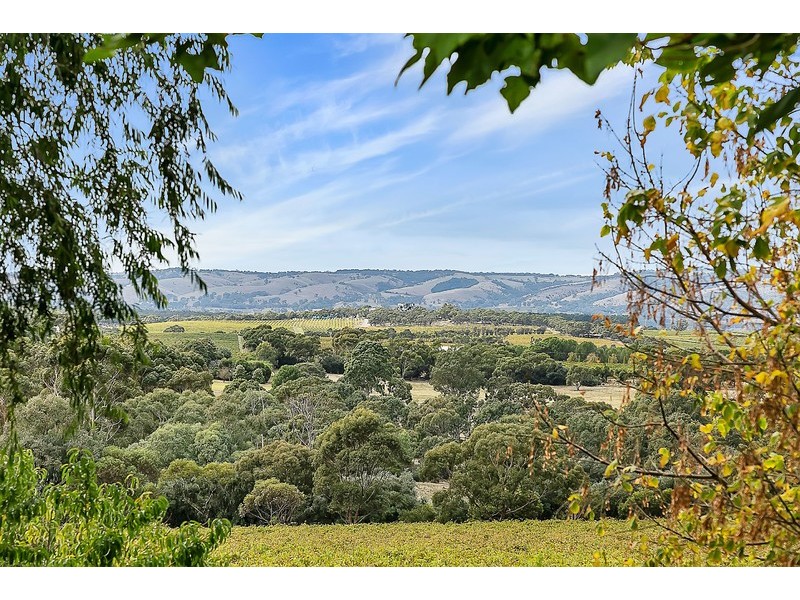52 Seaview Road, Mclaren Vale SA 5171