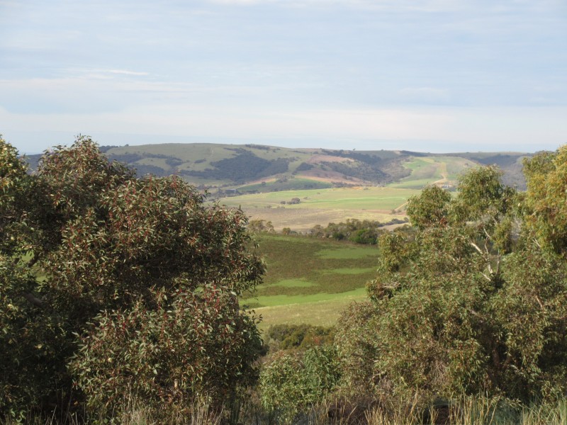 158 Ridge Road, Nangkita SA 5210