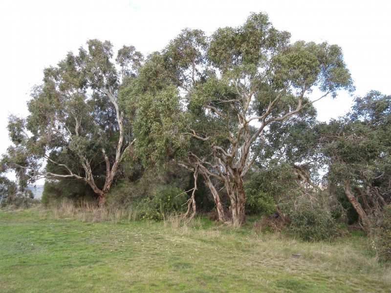 158 Ridge Road, Nangkita SA 5210