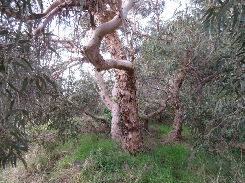 158 Ridge Road, Nangkita SA 5210