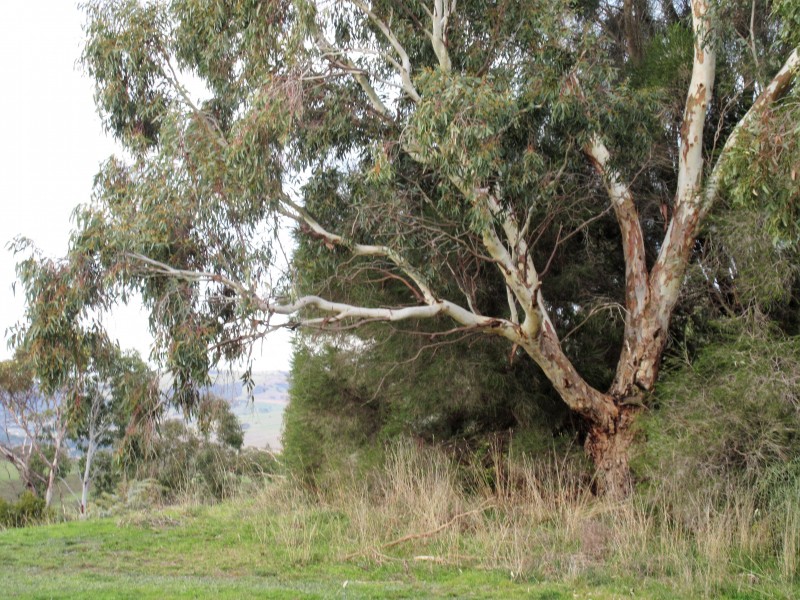 158 Ridge Road, Nangkita SA 5210