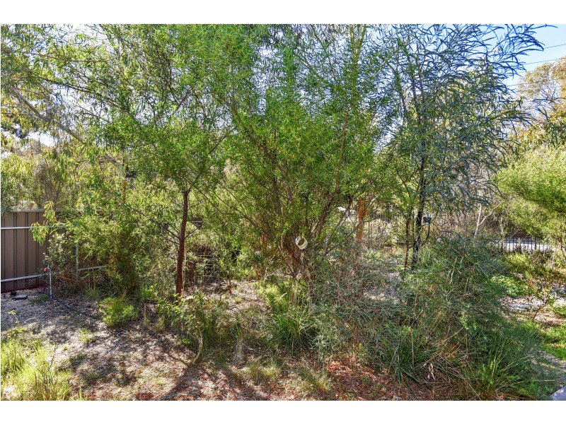 5 Albert Terrace, Morphett Vale SA 5162