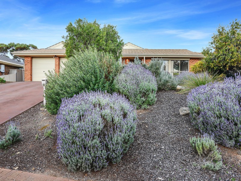 93 Barbados Drive, Seaford Rise SA 5169