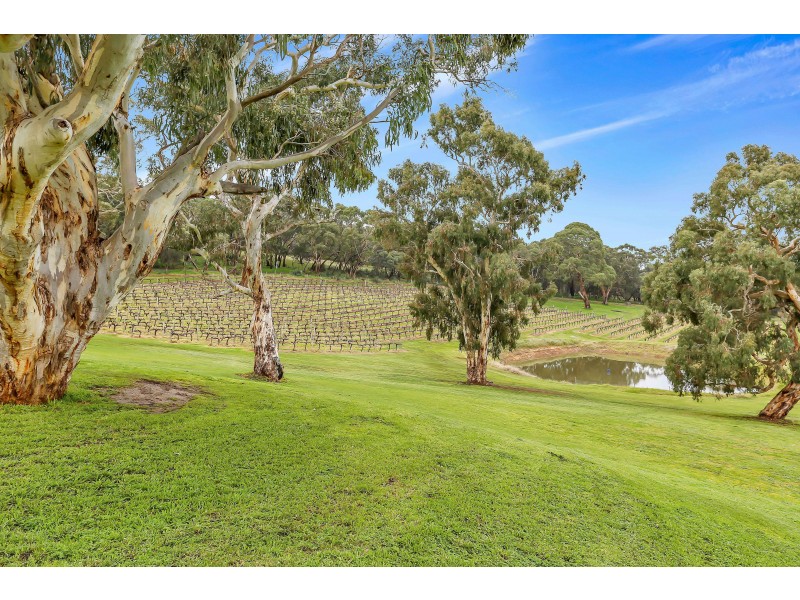 351 Chapel Hill Road, Blewitt Springs SA 5171