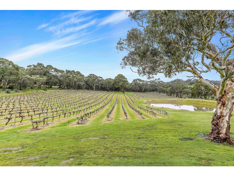 351 Chapel Hill Road, Blewitt Springs SA 5171