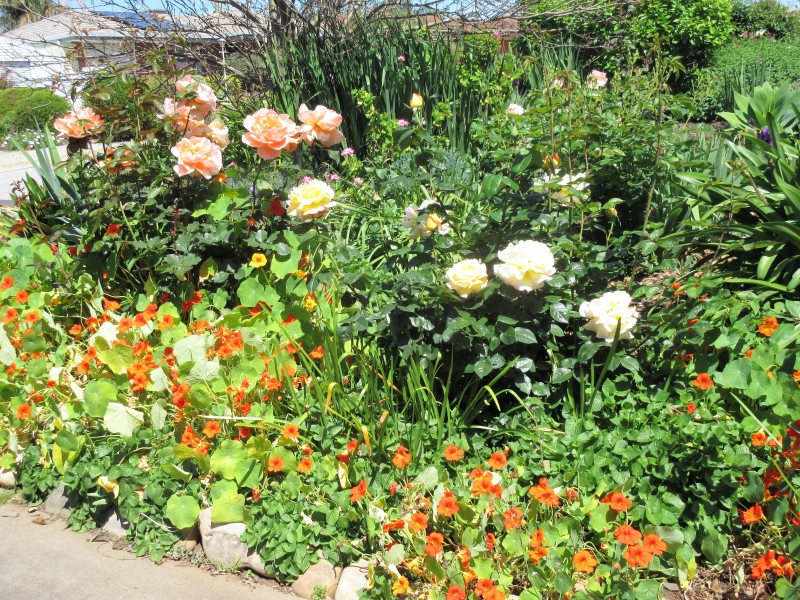 3 Mataro Avenue, Mclaren Vale SA 5171