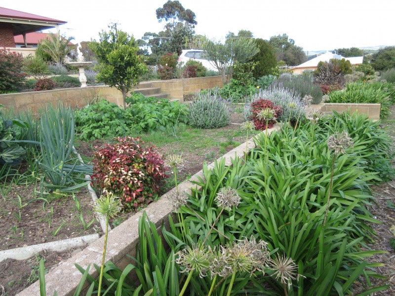 7 James Avenue, Normanville SA 5204