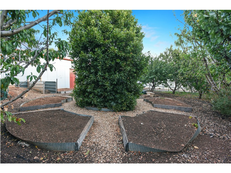 59 Wellington Avenue, Sellicks Beach SA 5174