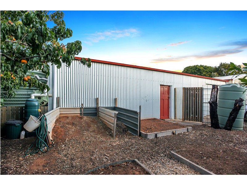 59 Wellington Avenue, Sellicks Beach SA 5174