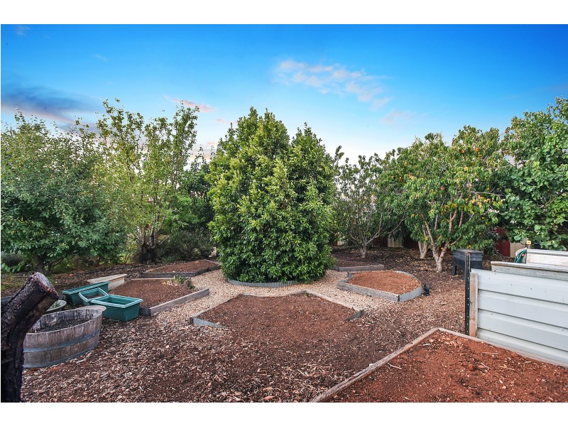 59 Wellington Avenue, Sellicks Beach SA 5174