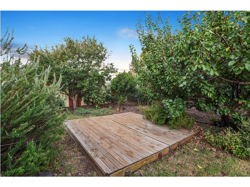 59 Wellington Avenue, Sellicks Beach SA 5174