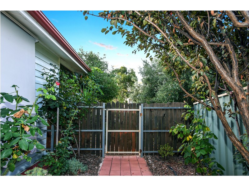 59 Wellington Avenue, Sellicks Beach SA 5174