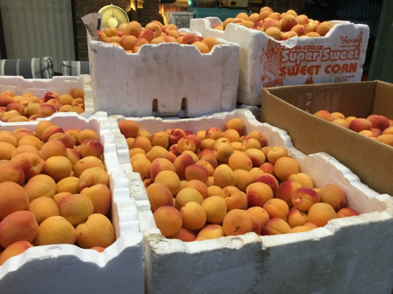 4/15 Button Road, Sellicks Beach SA 5174