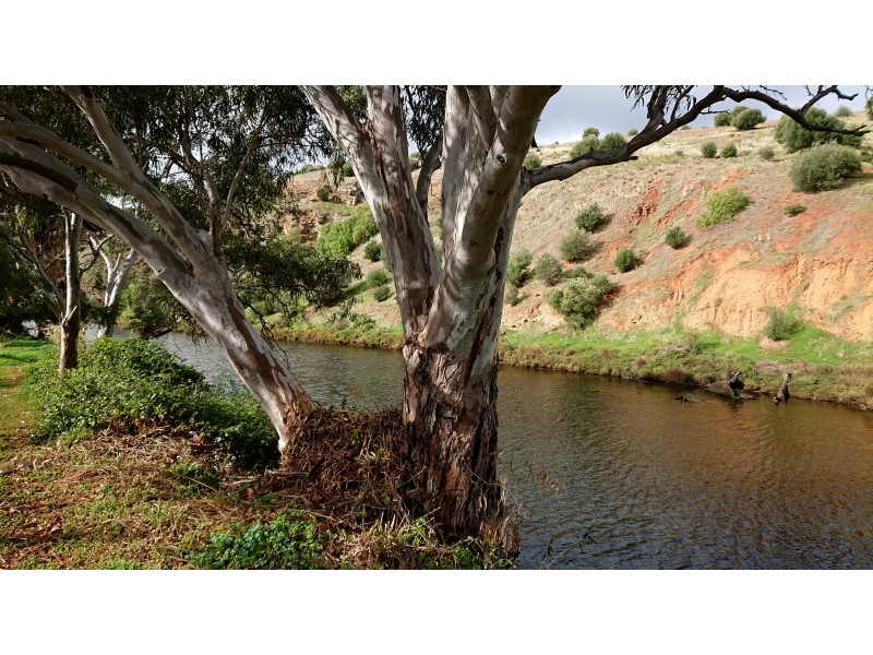 29 Paringa Parade, Old Noarlunga SA 5168